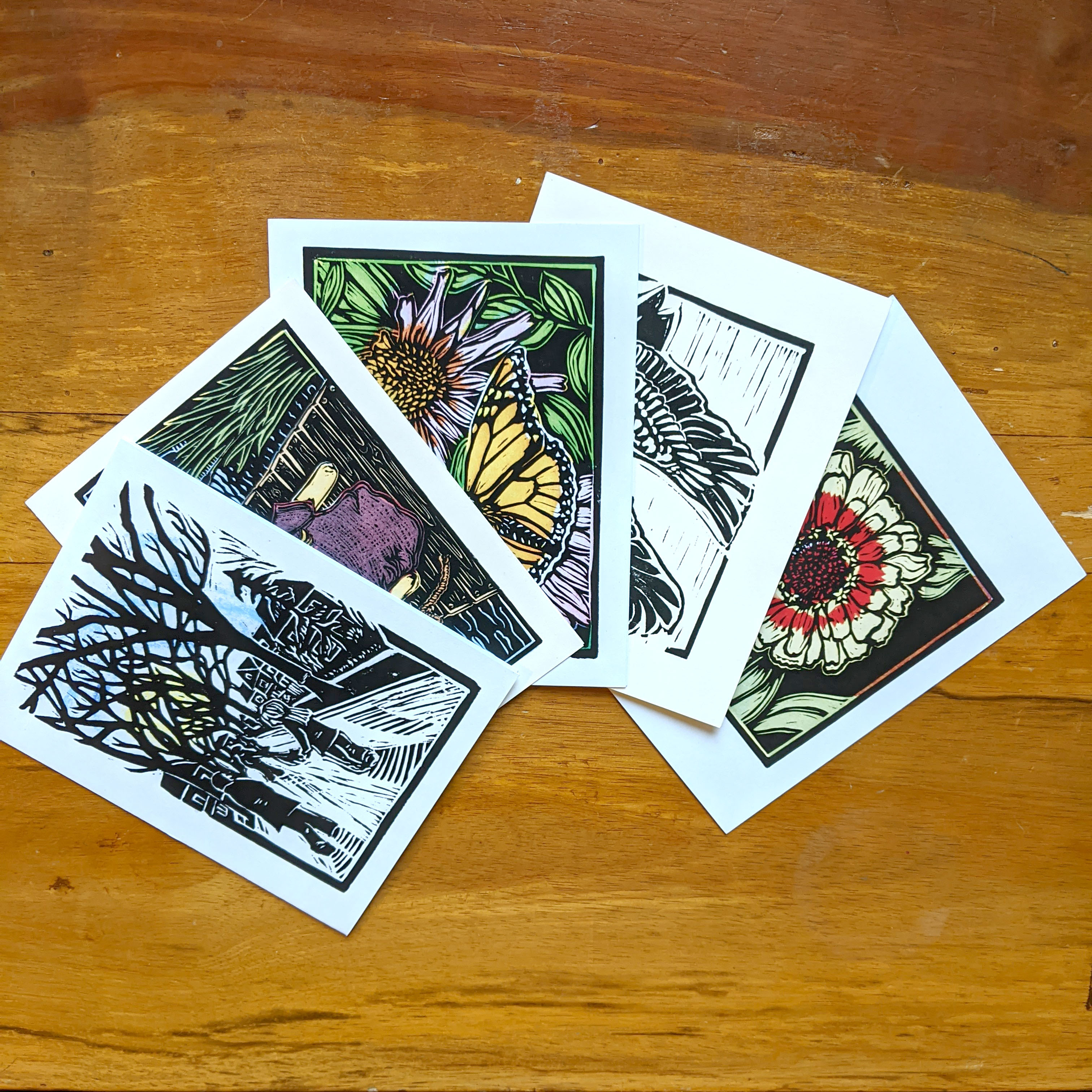 Blank Greeting Cards, assorted variety pack of 5 cards Katharina Nuss