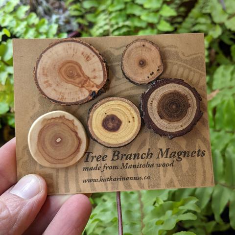 5 different kinds of tree branch magnets