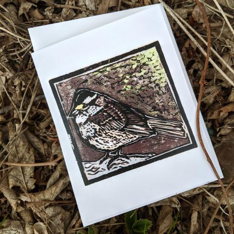 Card showing a white-throated sparrow, with envelope
