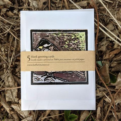 Pack of 5 cards showing white-throated sparrow