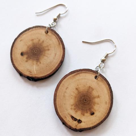 one pair chokecherry branch hook earrings