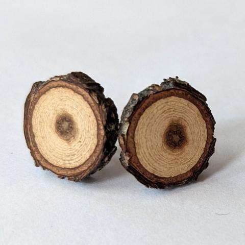 one pair oak branch stud earrings