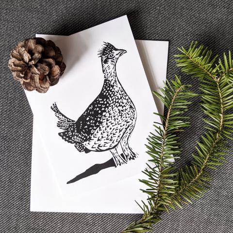 Envelope and Greeting Card showing a sharp tailed grouse.