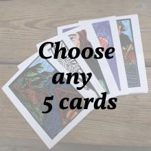 Choose any 5 cards