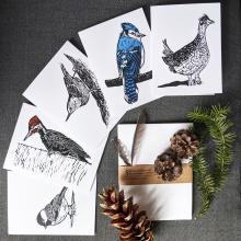 Five cards of different birds with envelopes, shown with some pine cones and pine branches
