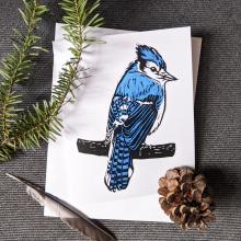 Envelope and Greeting Card showing a bluejay.