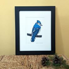 A framed linocut print of a bluejay