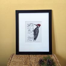 A framed linocut print of a pileated woodpecker