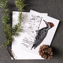 Envelope and Greeting Card showing a pileated woodpecker.